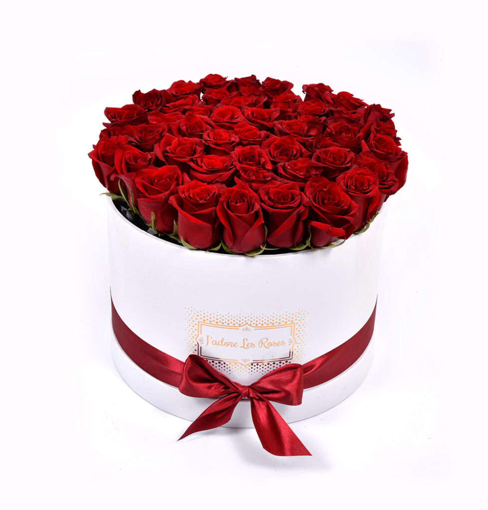 Red Roses in White Round Box