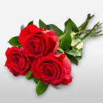 3 Red Rose