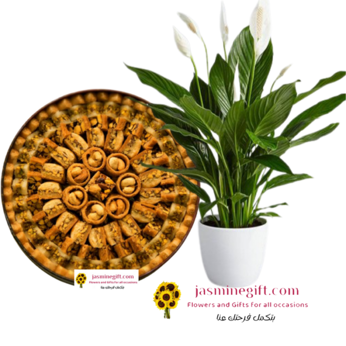Arabic sweets + PeaceLily Plant