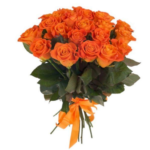 Orange Roses