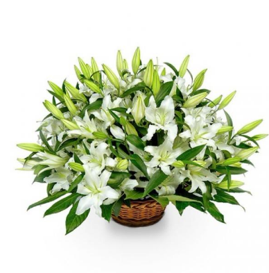 White Lillies HOT Basket