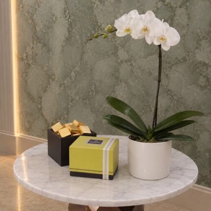 Orchid plant patchi box featuring a white orchid and Patchi chocolates in Amman-نبتة الأوركيد وشوكولاتة باتشي