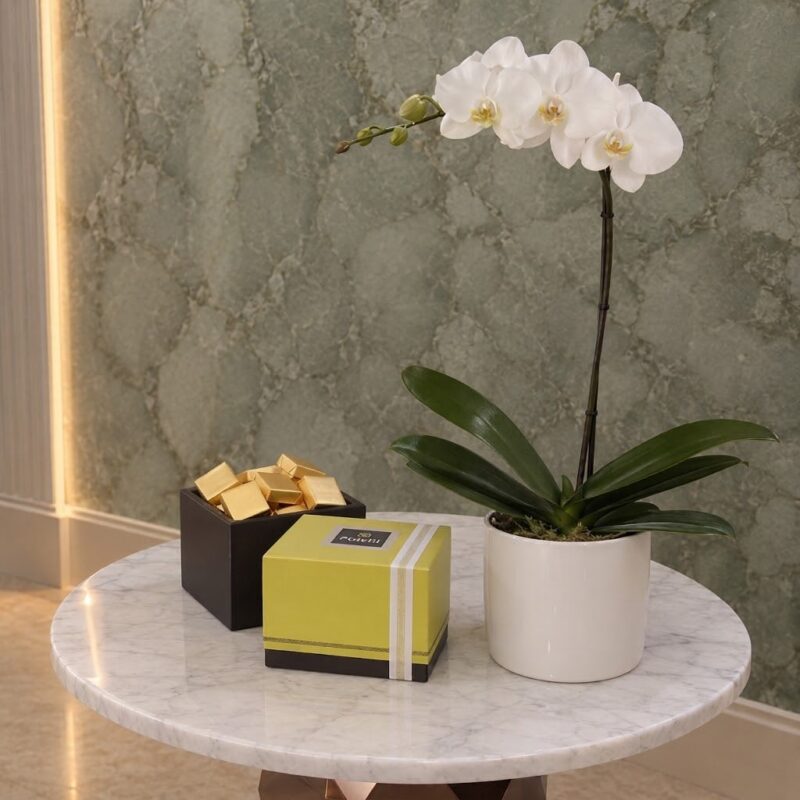 Orchid plant patchi box featuring a white orchid and Patchi chocolates in Amman-نبتة الأوركيد وشوكولاتة باتشي