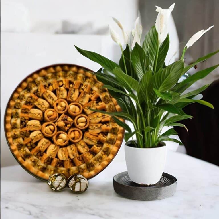 توصيل حلويات عربية الى عمان الأردن