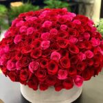 150 RED AND HOT PINK ROSES IN A BOX amman الاردن توصيل ورد