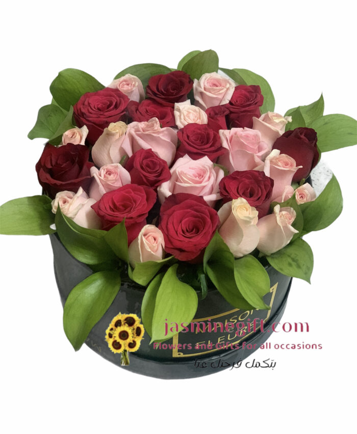 Pink Red Roses in Box