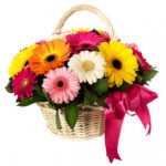A Special Gerbera in A Basket - A special group of garbera flowers arranged and placed in a special basket