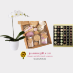 orchid plant flowers and gifts package,send flowers to amman jodan