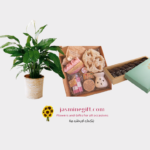 plant flowers and gifts package,send flowers to amman jodan