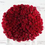 300 Red Roses