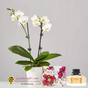 GUCCI perfume orchid-plnat,send-flowers to ammant