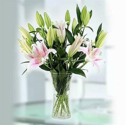 Pink Lily-Bouquet Delivery in Jordan