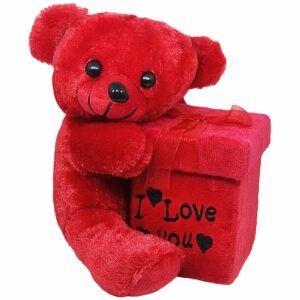 Teddy Bear with Love Box Soft Toy , send Teddy Bear to amman