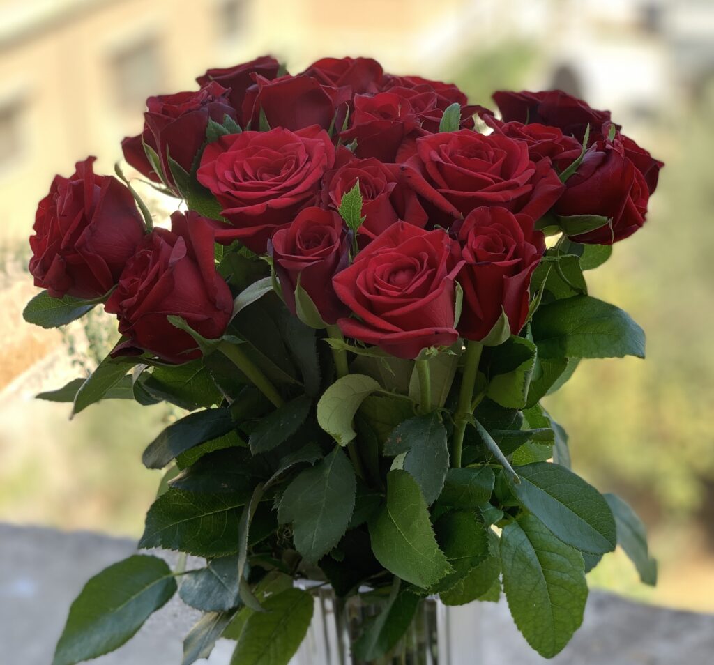 جوري احمر في فازا فاخرة