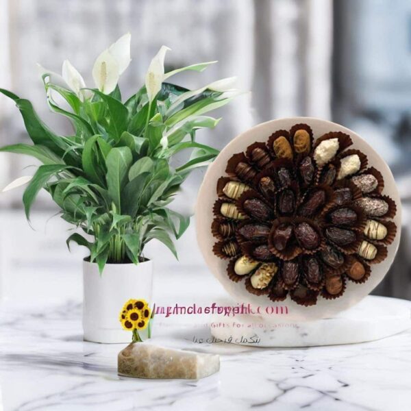 Delight Dates & basket + Spathiphyllum plant send to amman gift