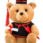 graduation teddy bear,send to amman