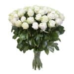 50 White Roses