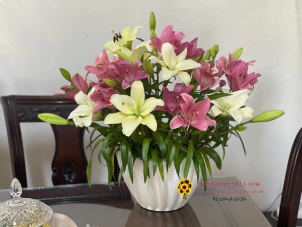 lilies flowers send to amman jordan