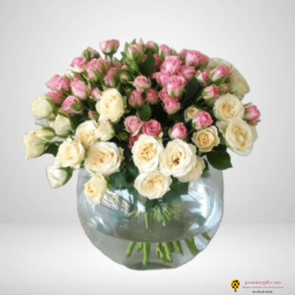 jasminegift.com Amman,jordan baby roses