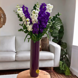 Matthiola Elegance Bouquet in Tall Luxury Vase from jasminegift, Send Flowers To Amman,Jordan From All word