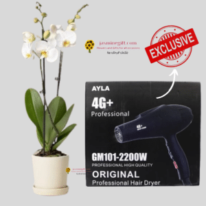 Mother's Day gift to jordan white orchid with hair dryer ayal 4g