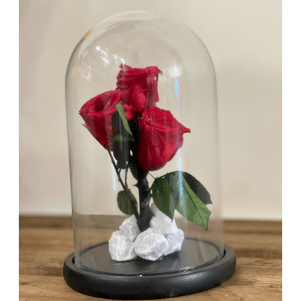 Forever Roses gift ,send flowers to amman