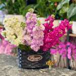 سلة روائع المنثور