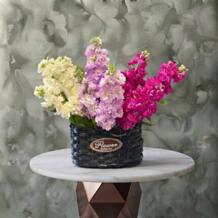 A colorful fresh flower basket arrangement featuring Matthiola flowers in Amman.سلة روائع المنثور