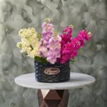 A colorful fresh flower basket arrangement featuring Matthiola flowers in Amman.سلة روائع المنثور