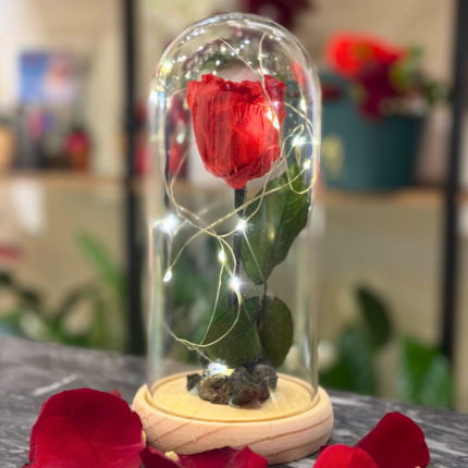 The Enchanted Rose send flowers to amman online