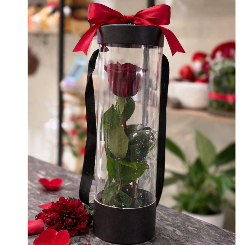 The Only Rose,send flowers to amman online from ksa
